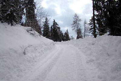 Rodelbahn Kala Alm 2012-01-22.JPG