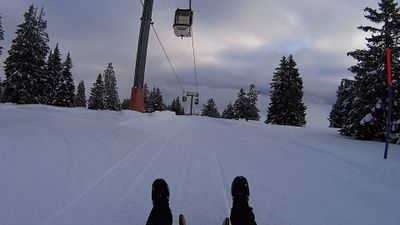 Rodelbahn Flumserberg 2017-02-09.jpg