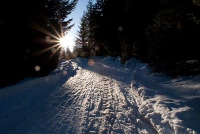 Rodelbahn Runstboden2.jpg