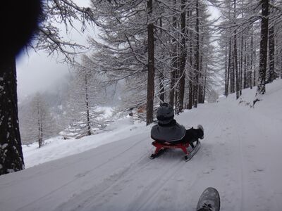 Schlittelbahn Saas-Fee 2020-01-28.jpg