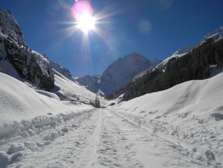 Bei der Pinnisalm endet die präparierte Rodelbahn; der Weg führt aber weiter bis zur Karalm