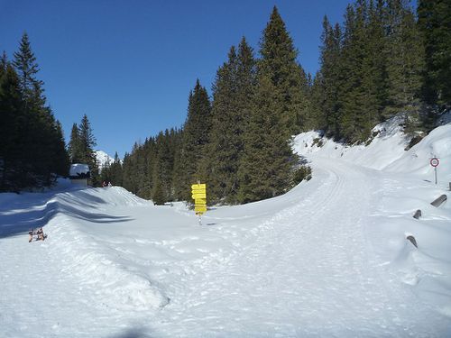 Zurück am Waldrastsattel kommt von rechts der Fußweg, links geht’s zum Start der Rodelbahn