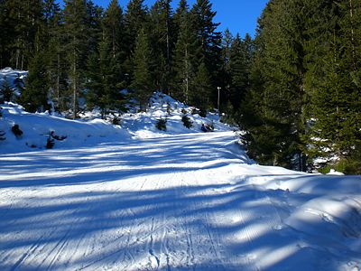 Rodelbahn Katzenkopf oben 2008-12-31.jpg