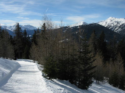 Rodelbahn Hühnerspiel 2011-02-06.jpg