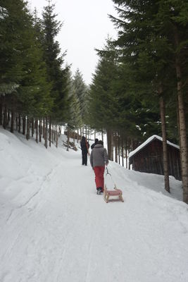 Rodelbahn Fraxern 2013-03-02.JPG