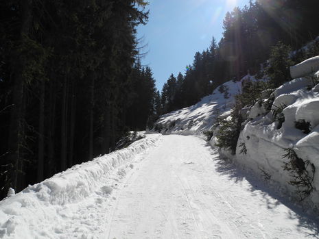 Knapp unterhalb der Auffangalm