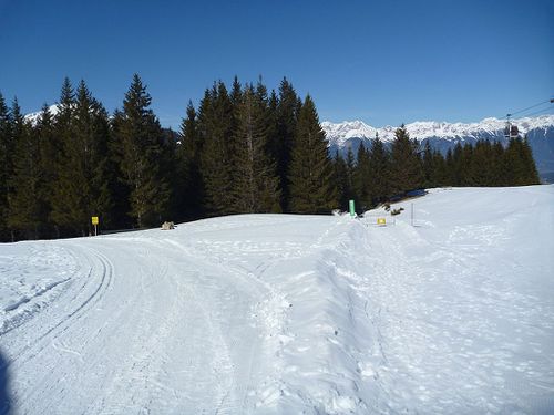 Links vom Start der Rodelbahn Mieders geht es entlang der Loipe zum Waldrastsattel.