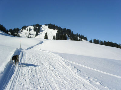 Rodelbahn Burgl-Hütte.jpg