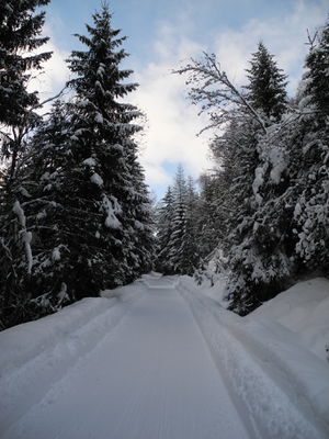 Rodelbahn Allrissalm 2014-01-28.JPG