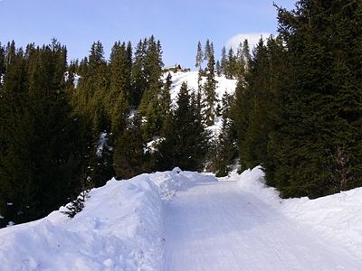 Rodelbahn Rangger Köpfl 02.jpg