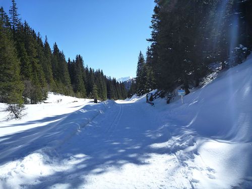 Blick vom Waldrastsattel Richtung Maria Waldrast.