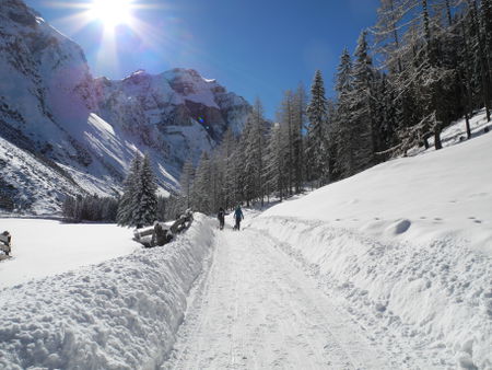 Blick hinein ins Pinnistal an der Abzweigung der Rodelbahn vom Elfer bei der Issenangeralm.