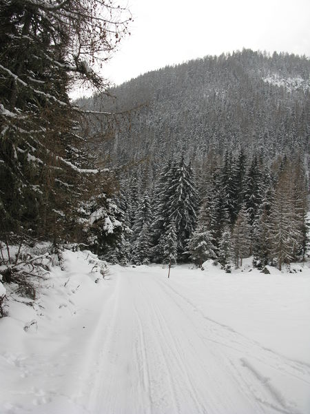 Datei:Rodelbahn Wurzbergalm 2009-12-19.jpg