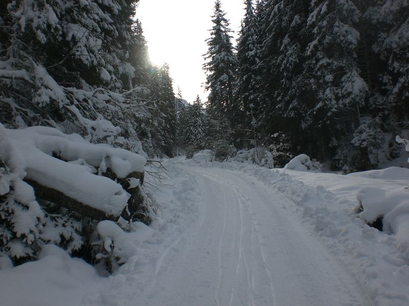 Datei:Impressionen KematerAlm 20091230 Aufstieg.jpg