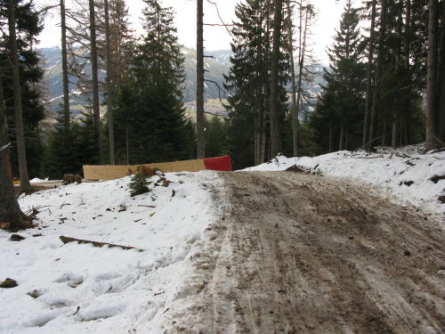 Dann schlängelt sie sich in engen Zick-Zack-Kurven durch den Wald, abgesichert mit Fangnetzen ...