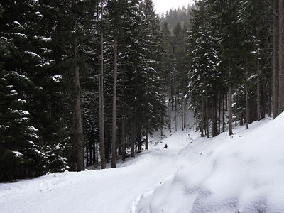 Rodelbahn Wattenberg Kreuztaxen 2016-02-20.jpg