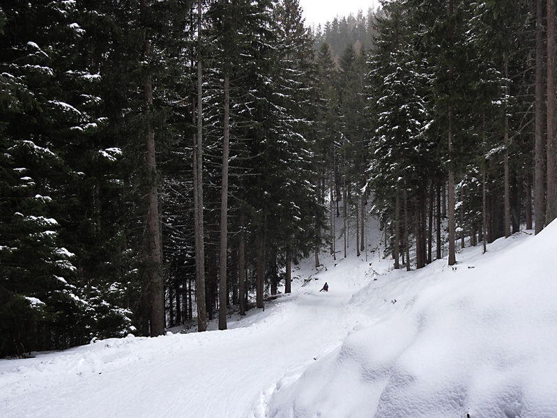 Datei:Rodelbahn Wattenberg Kreuztaxen 2016-02-20.jpg