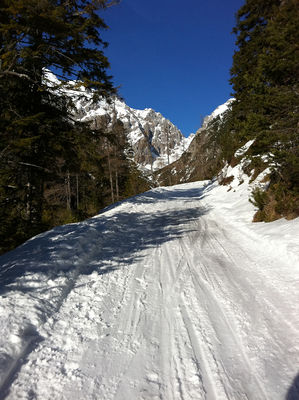 Rodelbahn Lehnberghaus 2011-02-05.JPG