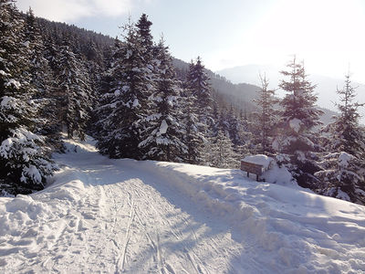 Rodelbahn Volderberg 2012-03-03.jpg