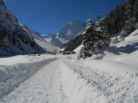 Die Alm ist schon in Sicht - der letzte Teil der Rodelbahn ist sehr flach.