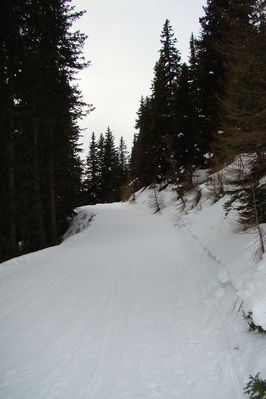 Compedal Rodelweg 2011-01-06 oberer Bereich.jpg