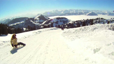 Rodelbahn Rigi des Alpes 2013-03-03.jpg