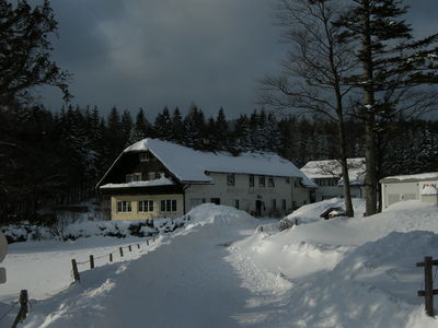 Mamauwiese 2010-02-13.JPG