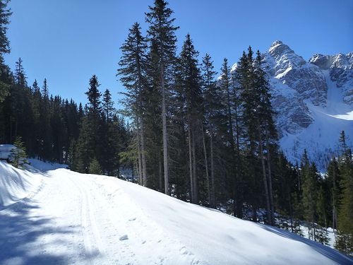 Der sonnige Fußweg entlang der Loipe zeigt den Blick auf die Serles.