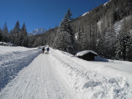 Der Weg führt großteils relativ flach, aber landschaftlich sehr schön, hinein ins Pinnistal.