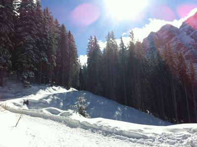 Rodelbahn Waldrastsattel 2014-02-23 Unten.JPG