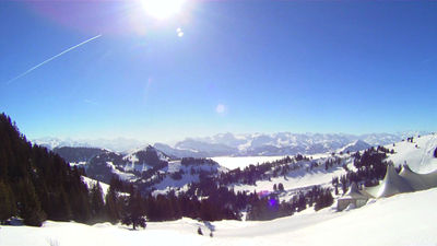 Rodelbahn Rigi Tschungeli 2013-03-03.jpg