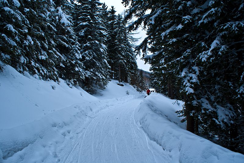 Datei:Rodelbahn Sistranser Alm (4).jpg