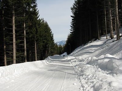 Rodelbahn Rinner Alm 2009-03-14.jpg