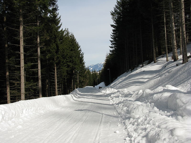 Datei:Rodelbahn Rinner Alm 2009-03-14.jpg