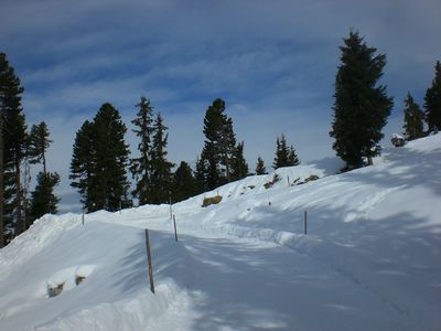 Rodelbahn Feldringalm 2010-02-28.JPG