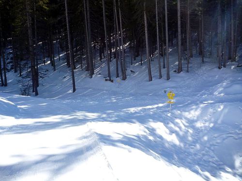 Nach links geht der Fußweg entlang der Loipe über die Ochsenhütte zum Waldrastsattel. Nach rechts kommt man zum Ende der Rodelbahn um ihr entlang nach oben zu gehen.