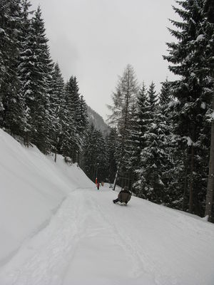 Rodelbahn Rodelhütte Pertisau 2010-01-30.jpg