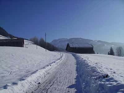 Rodelbahn Fegg 2009-01-08.JPG