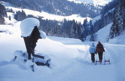 Faulbaumgartenalm-inneralpbach.jpg