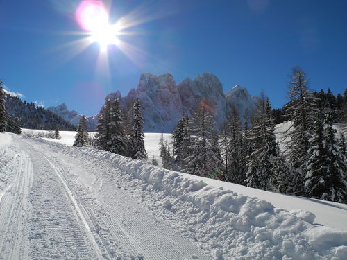 Noch einen Hang hinauf und plötzlich tauchen die Geisler Spitzen am Horizont auf - ein sehr emotionaler Moment!