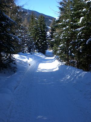 Rodelbahn BirgitzerAlm 2009-02-28 Oberhalb Adelshof.jpg