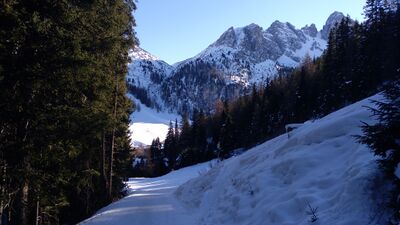 Rodelbahn Pleisenhütte Axamer Lizum 2022-01-15.jpg