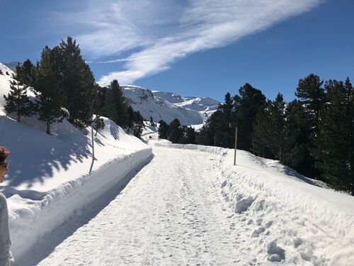 Rodelbahn Mölstal 2021-02-21 7.jpeg