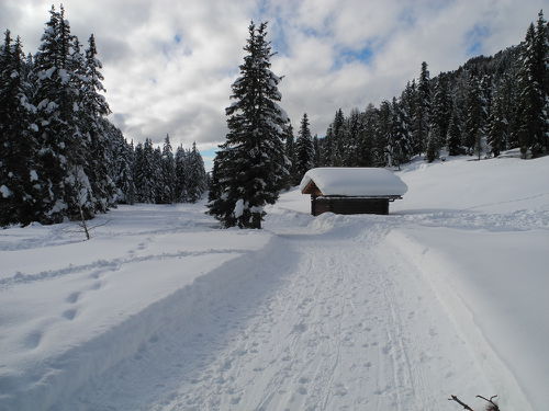 Eine Winteridylle wie von einem Postkartenmotiv - die Rodelbahn von der Gampen Alm im unteren, flachen Abschnitt.