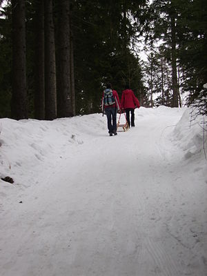 Rodelbahn Bödele 2009-01-18.JPG