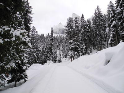 Rodelbahn Dusler Alm 2014-01-16.JPG