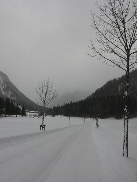Datei:Rodelbahn Feilalm 2010-01-30.jpg