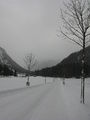 Vorschaubild der Version vom 15:10, 31. Jan. 2010