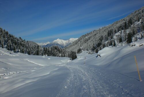 Hinteres Fotschertal