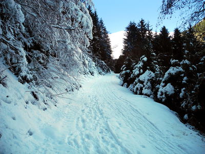 Rodelbahn Bichlhof 2013-12-28.JPG